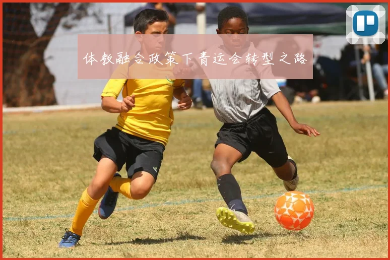 体教融合政策下青运会转型之路
