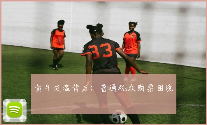 黄牛泛滥背后：普通观众购票困境