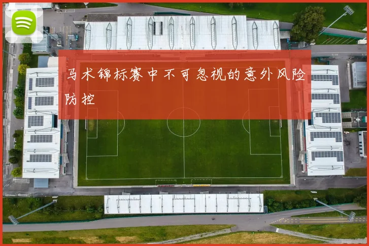 马术锦标赛中不可忽视的意外风险防控