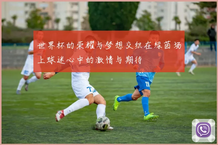 世界杯的荣耀与梦想交织在绿茵场上球迷心中的激情与期待
