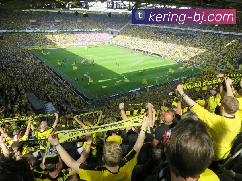 开云平台生态图